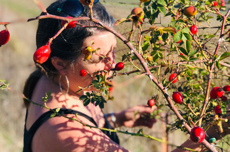 Locally Sourced Ingredients